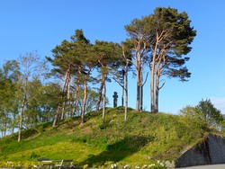 Kongshaug