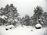 Garfjell