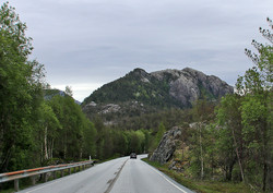Tjofjell