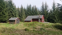 Domus Medica