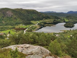 Fløyen