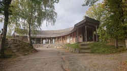 Vaffelbua