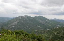 Crni Vrh