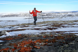 Orvbergsfjellet