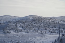 Hallingnatten