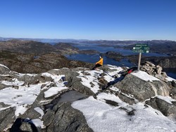Bukkaknuten