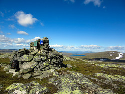 Kjøliskarven