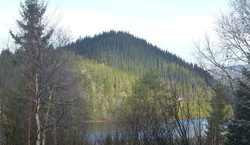 Hovdås