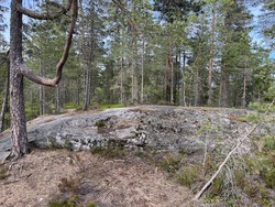 Tømtåsen