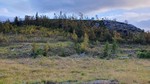 Svinehovda