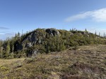 Grønhaugen