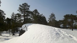 Guritjernskollen