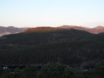 Hausvikkammen