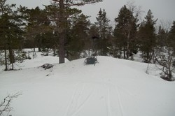 Meskestadhøymyråsen