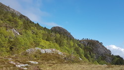 Høgheia