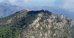 Puerto de Marbella