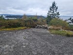 Hetlevik