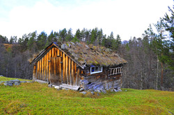 Sotestølen
