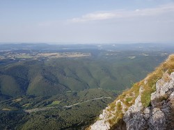 Nanos viewpoint