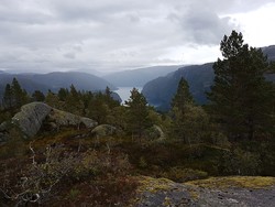 Ravnanuten