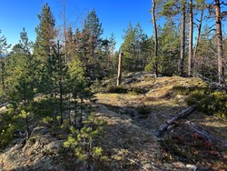 Hoplaåsen