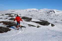 Storhøgda