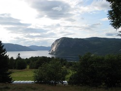 Våmur