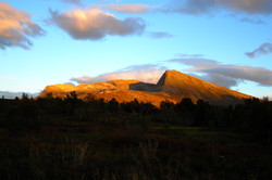 Nordre Høgsvora
