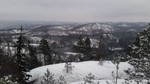 Skjeggås