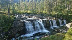 Breifossen