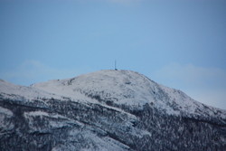 Ørnkampen