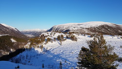 Knausan