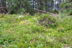 Høgberget