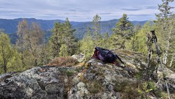 Torgåsen