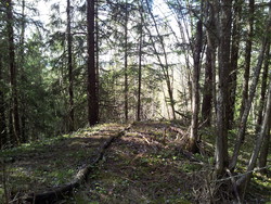 Trostberget