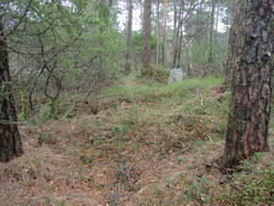 Tiurleiken