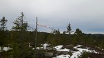 Fugleknattene