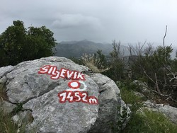 Siljevik