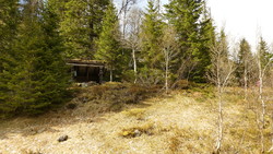 Jenssetertomta