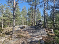Gråbeinåsen