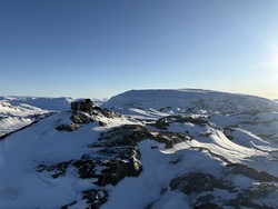 Brimtvora