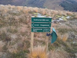Grøthornet