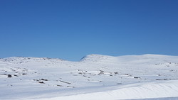Svarthøe N3