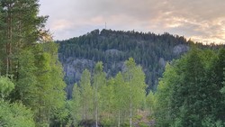 Smiukollen