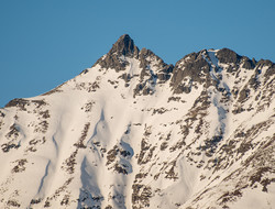 Grøvelnebba