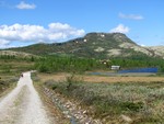 Svartfjellet