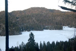 Kartmyrknuten
