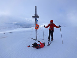 Høgehaug