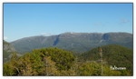 Haltussen