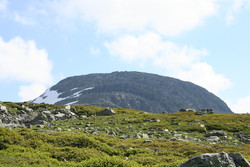 Knoda